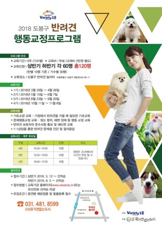 반려견 행동교정프로그램