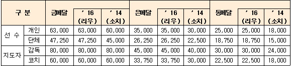 2018 평창동계 올림픽·패럴림픽 포상금 지원 기준 (단위: 천 원)