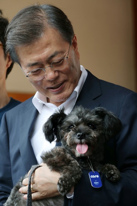 문재인 대통령이 청와대에서 동물보호단체 ‘케어’ 관계자들로부터 유기견 ‘토리’를 입양받고 있다. (출처=뉴스1)