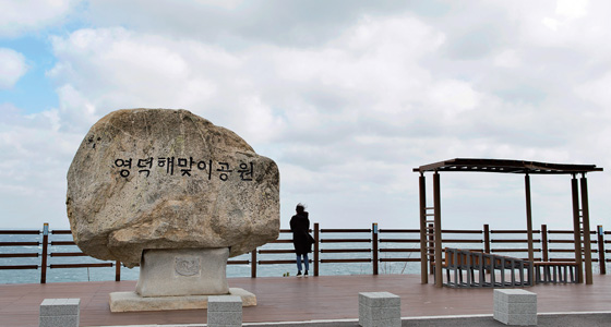 영덕해맞이 공원 산책로 중간 데크길에 올라서면 동해바다가 한눈에 들어온다.