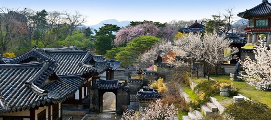 창덕궁 낙선재 봄 풍경 (사진 = 문화재청)