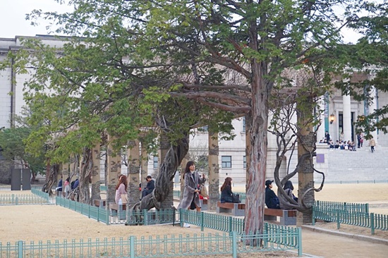 석조전 분수대 앞의 나무의자