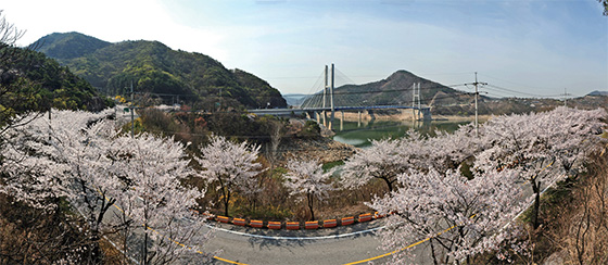제천 청풍호벚꽃축제.(사진=제천시)