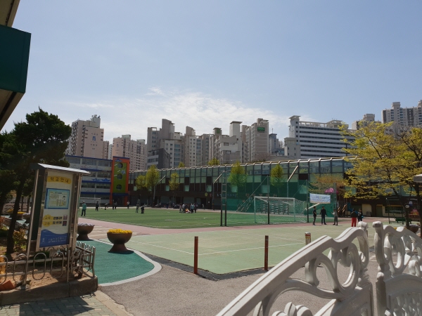미세먼지가 사라진 날 학교 운동장의 모습