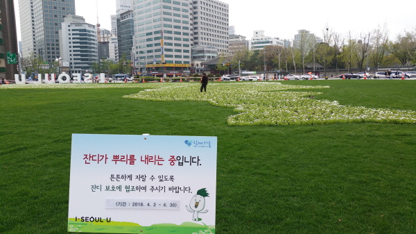 서울과장에 조성된 한반도 모양의 평화의 꽃밭은 잔디가 뿌리는 내리는 이번 달 30일까지 통행이 제한된다.