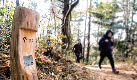 한반도 최남단 땅끝이 자리한 전남 해남의 달마고도.(사진=조선DB)