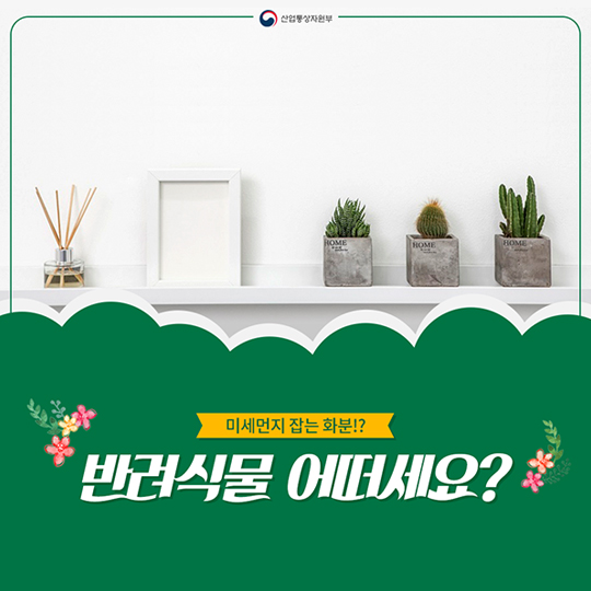 미세먼지 잡는 화분 키워볼까?…‘반려식물’이 뜬다