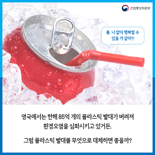 "이제 버리지 말고 먹자!"…플라스틱 쓰레기 줄이는 