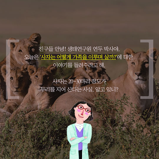 사자는 어떻게 가족을 이루며 살까?