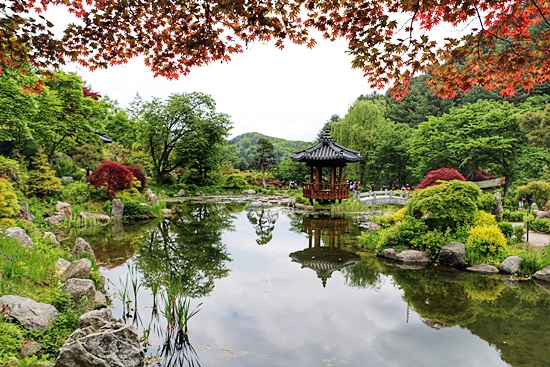 아침고요수목원 서화연의 봄