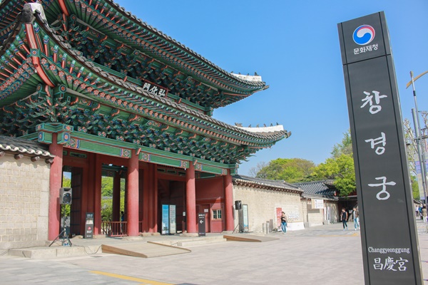 지난 29일(일) 시민배우로 참여하기 위해 창경궁을 찾았다