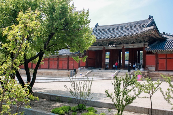 아름다운 창경궁에서 시민배우로 활약할 수 있는 기회였다