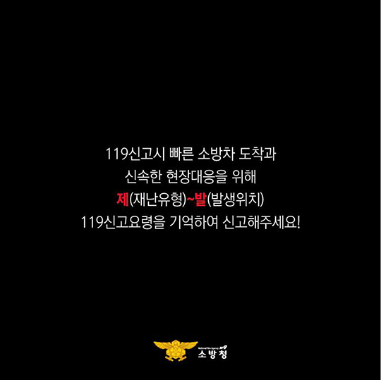 119 신고, 제발 이것부터