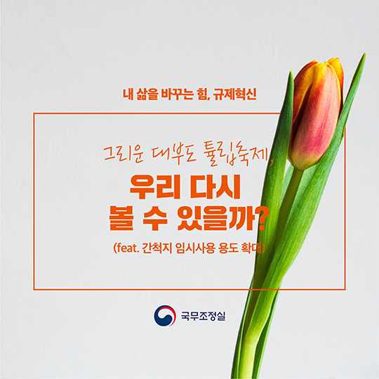 그리운 대부도 튤립축제···우리 다시 볼 수 있을까?