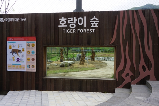 축구장 7개 크기의 호랑이숲
