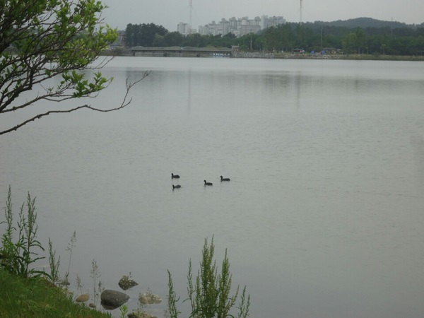 경포호.