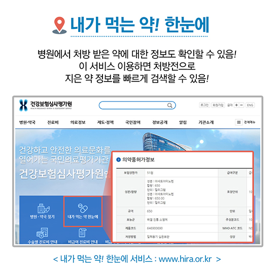 사회초년생 위한 영양제 챙겨볼까?