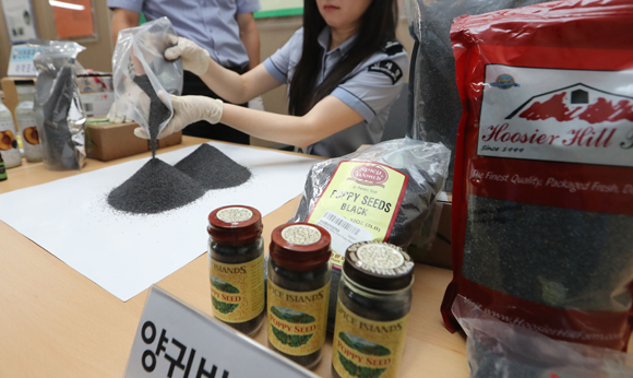 식품의약품안전처는마약류 생산부터 사용까지 전 과정을 전산시스템으로 보고하고 저장해 상시 모니터링하는 ‘마약류통합관리시스템’을 가동한다고 밝혔다.사진은 마약 성분이 함유된 대마 오일과 양귀비 씨앗.<저작권자(c) 연합뉴스, 무단 전재-재배포 금지>