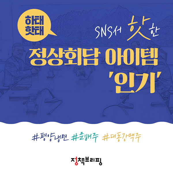 SNS의 남북정상회담 핫 키워드는?