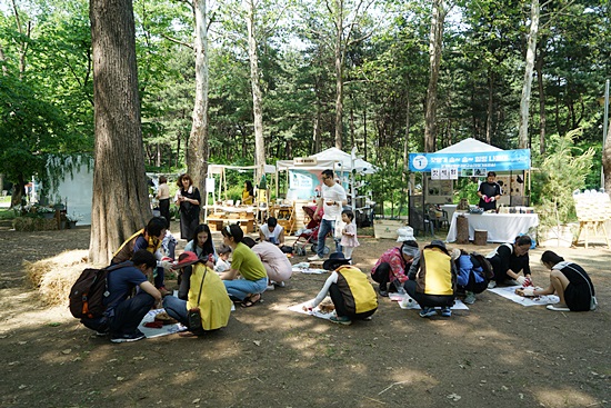 잣을 까보며 잣나무에 대해서 알아봐요.