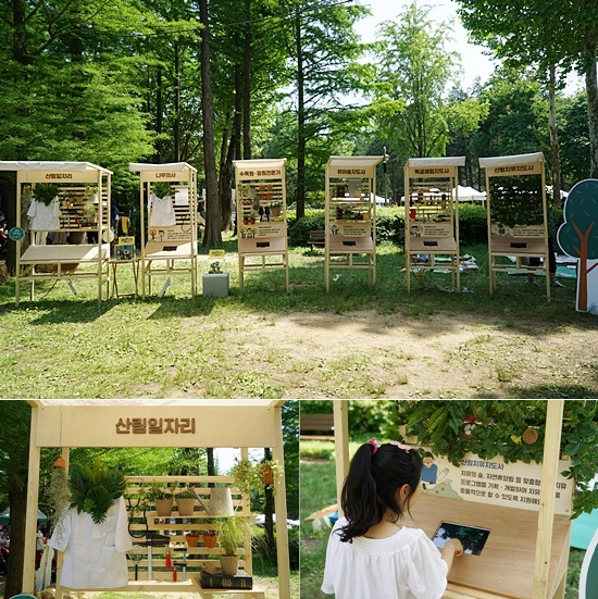 주제기획관에서 산림일자리에 대해서 알아보고 있는 모습
