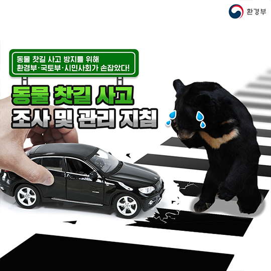 동물 찻길 사고 방지…환경부·국토부·시민사회 손잡다