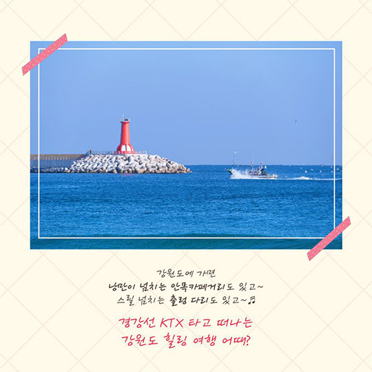 4명이 5만원에 KTX 타고 강릉 가는 법