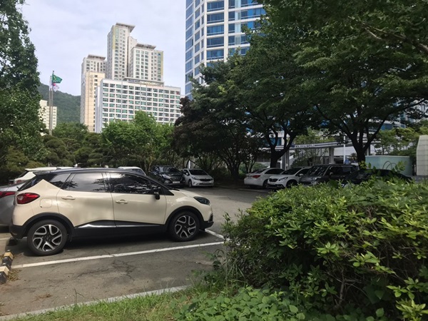 다행히 주차 공간이 남아있었다. 