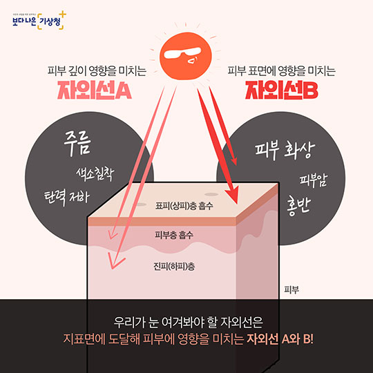 동안 피부 지키고 싶다면?