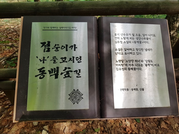 실레이야기길에 펼쳐 진 책 안내판