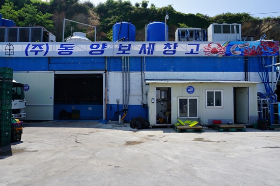 동해시 일출로 (주)동양