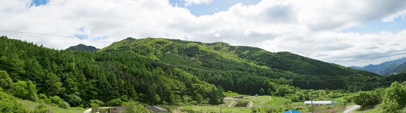 ‘죽령 옛길’ 명품숲 전경.