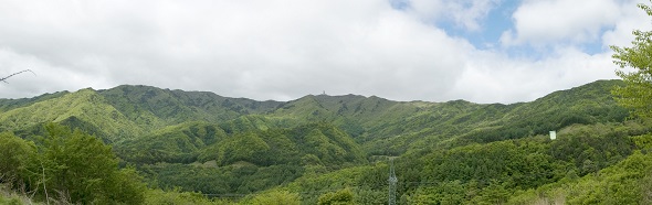 ‘죽령 옛길’ 명품숲 전경.