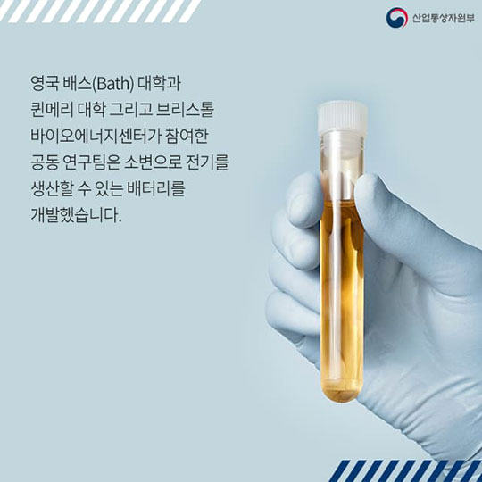 소변으로 배터리를 만든다고?