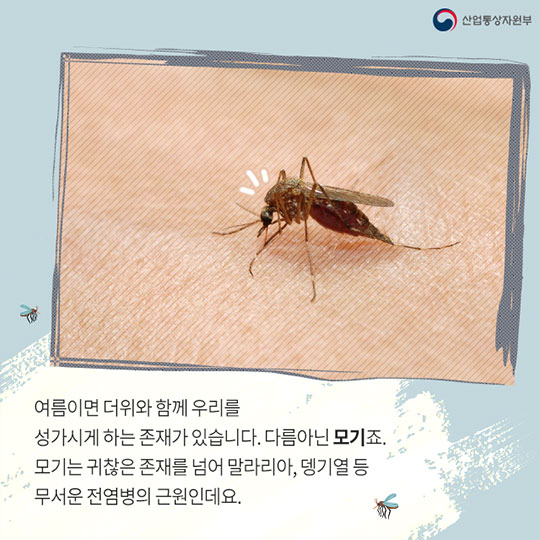 모기를 없애는 특별한 포스터가 있다?