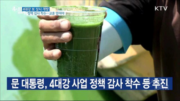 4대강의 녹조가 가득한 물
