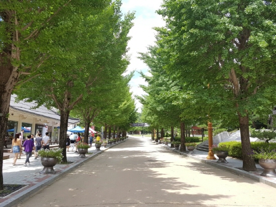 문경새재의 과거길을 걷고 있는 시민들.