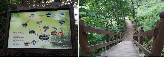 마곡사 솔바람길(백범 명상의 길)