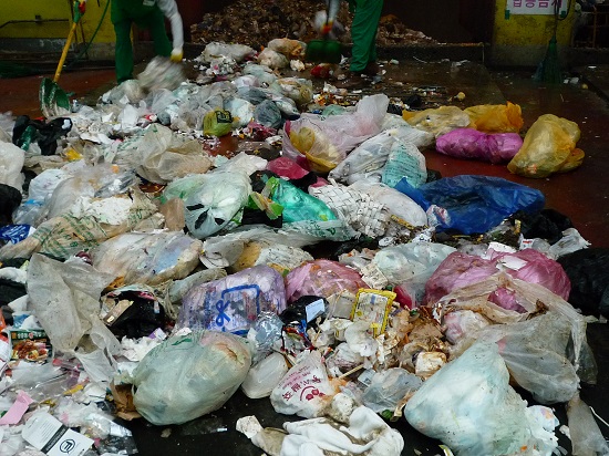 제대로 분리되지 않거나, 깨끗하게 처리되지 않은 채 잘못 배출되는 쓰레기가 많다. 