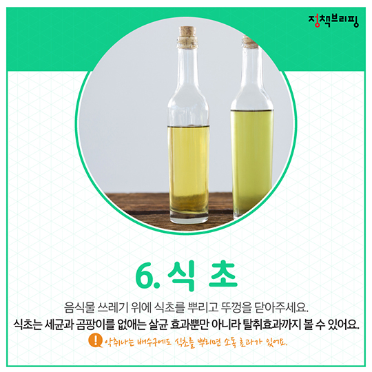 여름철 음식물 쓰레기 관리 비법 6가지