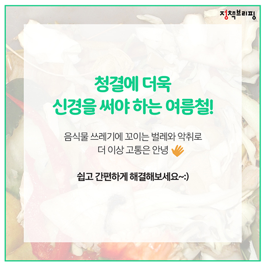 여름철 음식물 쓰레기 관리 비법 6가지