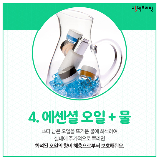 악취에 벌레까지…여름철 음식물 쓰레기 관리하는 방법은?