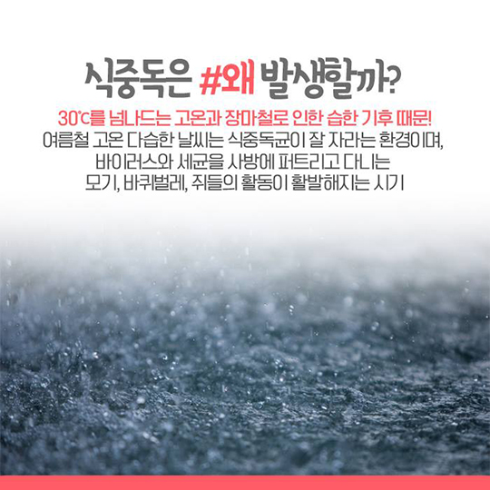 공포영화보다 무서운 식중독, 피해야 할 음식은?