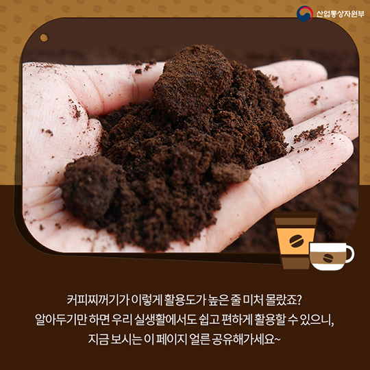 팔방미인 ‘커피찌꺼기’의 화려한 변신