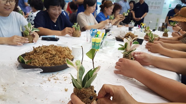 이끼와 식물을 이용해 이끼 볼 만들기