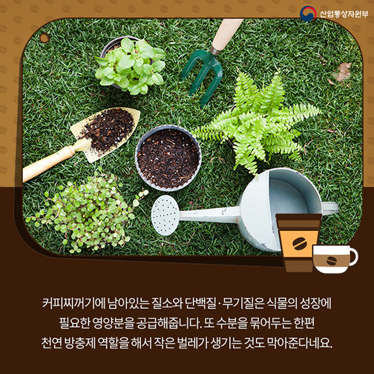 팔방미인 ‘커피찌꺼기’의 화려한 변신