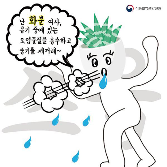 꿉꿉한 여름 날씨에 꼭 필요한 습기제거 3인방