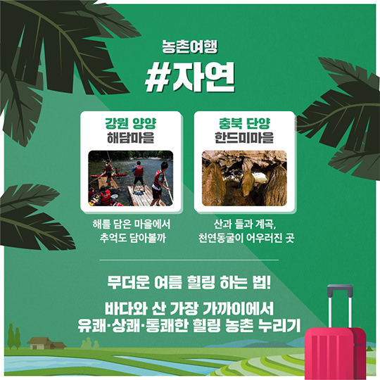 국내 여름 취향저격 휴양지 9선