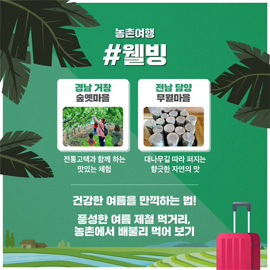 국내 여름 취향저격 휴양지 9선