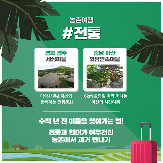 국내 여름 취향저격 휴양지 9선
